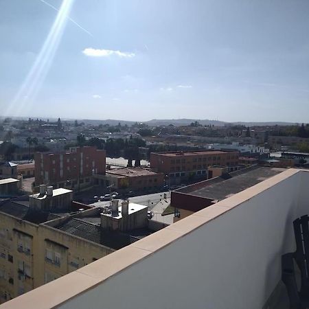 Апартаменты Atico/Estudio Cerca Del Centro De Jerez Херес-де-ла-Фронтера Экстерьер фото